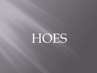 HOES