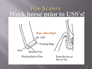 25Hoe ScalersWork horse prior to USS’s!Hoes - More Rigid