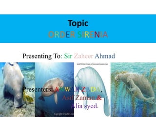 Characteristics Of Sirenians