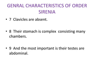 Characteristics Of Sirenians