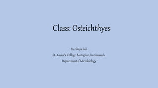 Class: Osteichthyes
By- Sanju Sah
St. Xavier’s College, Maitighar, Kathmandu
Department of Microbiology
 