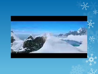 Order Sphenisciformes