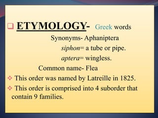  ETYMOLOGY- Greek words
Synonyms- Aphaniptera
siphon= a tube or pipe.
aptera= wingless.
Common name- Flea
 This order was named by Latreille in 1825.
 This order is comprised into 4 suborder that
contain 9 families.
 