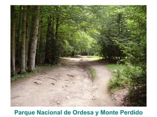 Parque Nacional de Ordesa y Monte Perdido
 