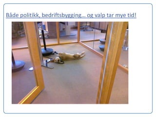 Både politikk, bedriftsbygging… og valp tar mye tid!
 