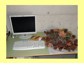 Els ordinadors de les classes