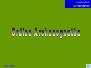 Ordine Archaeognatha CLASSIFICAZIONE   ARCHEOGNATI 