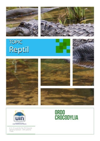 Reptil
TOPIC
Jl. Ir. H. Juanda No.95 Ciputat
Jakarta Selatan - DKI Jakarta
1549
Ordo
Crocodylia
 