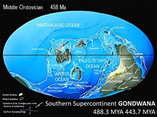 Southern Supercontinent GONDWANA
488.3 MYA 443.7 MYA
 