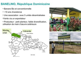 BANELINO, République Dominicaine Monte-cristi Valverde <ul><li>Banane Bio et conventionnelle </li></ul><ul><li>~10 ans d’e...