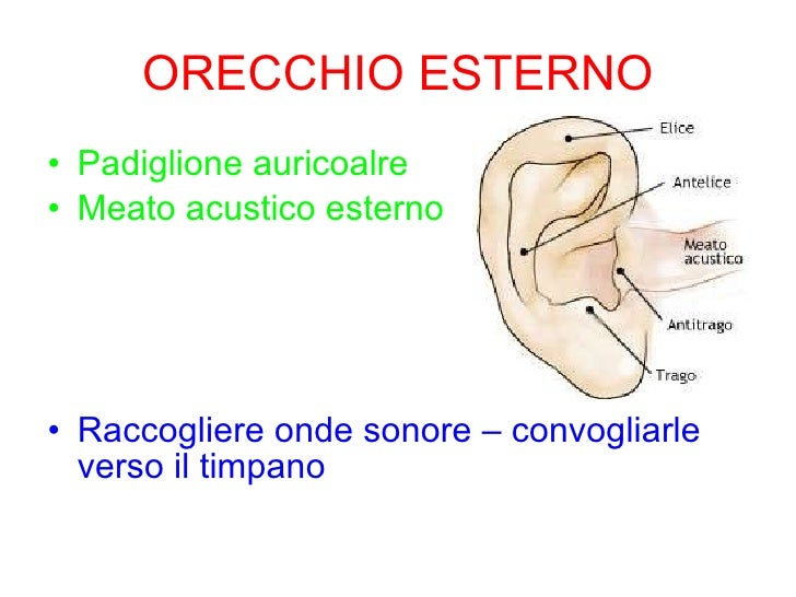 oecchio esterno