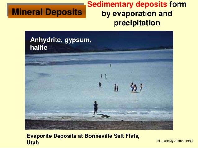 ore deposits contact metamorphism placer deposits form when