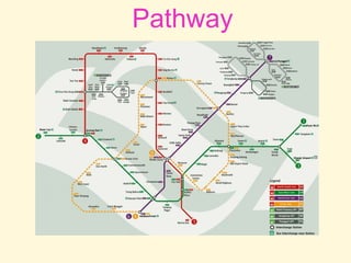 Pathway
 