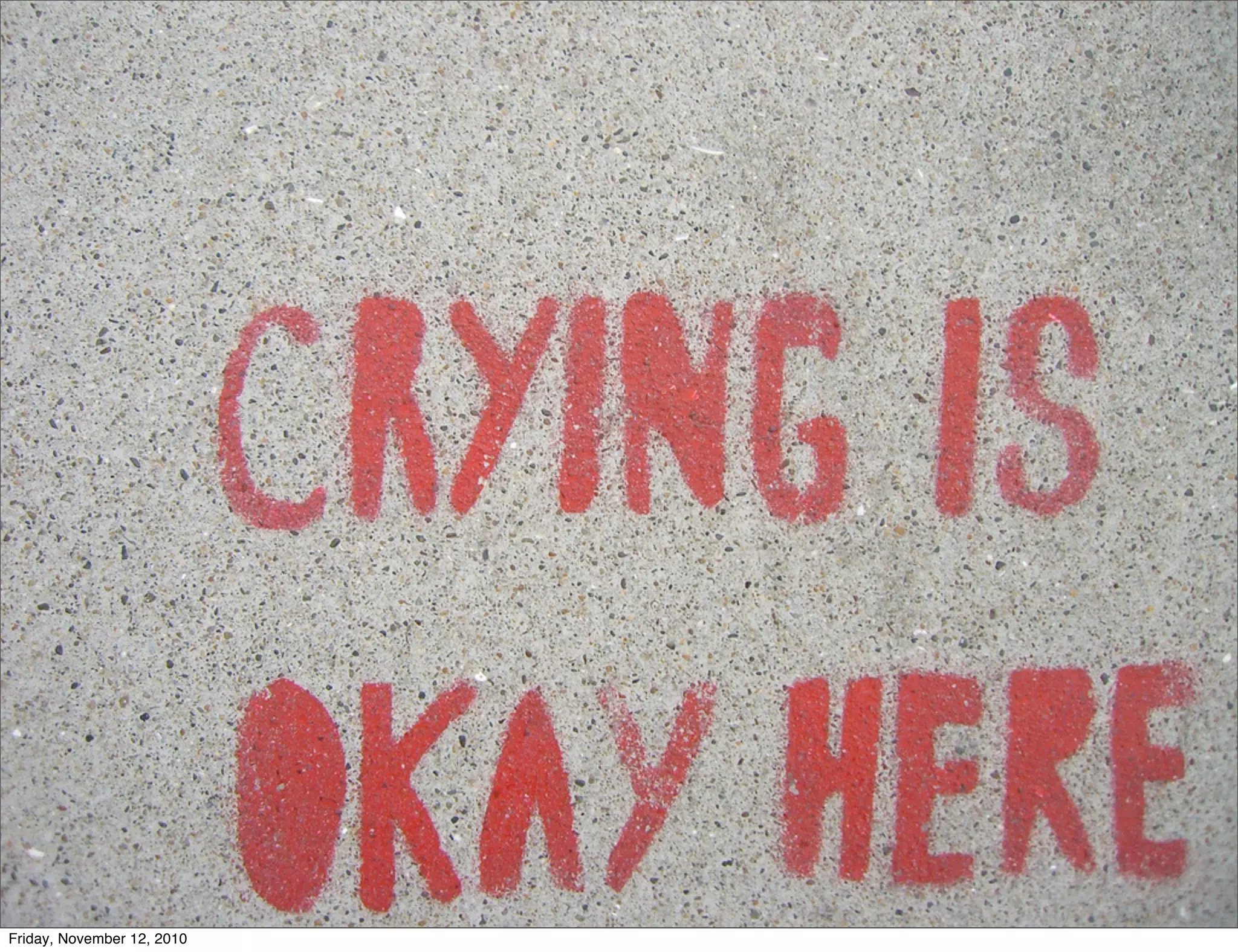 Friday, November 12, 2010
 