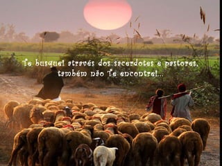 Te busquei através dos sacerdotes e pastores,
também não Te encontrei...

 
