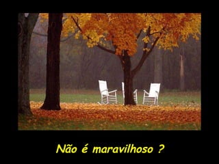 Não é maravilhoso ? 