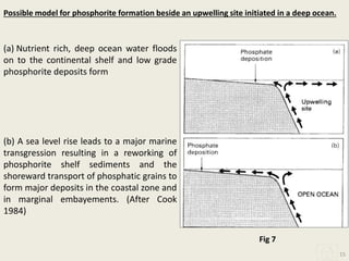 (a) Nutrient rich, deep ocean water floods
on to the continental shelf and low grade
phosphorite deposits form
(b) A sea level rise leads to a major marine
transgression resulting in a reworking of
phosphorite shelf sediments and the
shoreward transport of phosphatic grains to
form major deposits in the coastal zone and
in marginal embayements. (After Cook
1984)
Possible model for phosphorite formation beside an upwelling site initiated in a deep ocean.
15
Fig 7
 