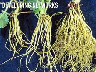 DEVELOPING NETWORKS
 