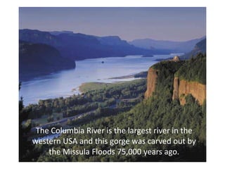 The Columbia River is the largest river in the
western USA and this gorge was carved out by
    the Missula Floods 75,000 years ago.
 