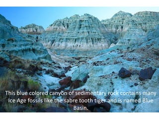 This blue colored canyon of sedimentary rock contains many
 Ice Age fossils like the sabre tooth tiger and is named Blue
                             Basin.
 