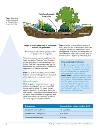 Typical ponding depth
                                                  6–24 inches
Figure 8: Ponding
surface is denoted
by the dotted line.
(Graphic: EMSWCD)




                       (Length of surface area x Width of surface area)       Note: remember to account for the addition of
                                x .10 = total rain garden area                mulch when you plan for your finished depth (see
                                                                              “Mulching” on page 23). For example, if you are
                        An example: 30 feet x 12 feet = 360 square feet       adding 3 inches of mulch to your final planted gar-
                             x .10 = 36 square feet of rain garden            den and it needs to be at least 12 inches deep, you
                                                                              must excavate to a depth of 15 inches from grade.
                      The more impervious area you want to treat, the
                      bigger your garden. The size of your rain garden
                      will also depend on the space available and your           RAIN GARDEN DICTIONARY:
                      budget. If you don’t have enough space, you can            The size of a rain garden refers to the volume
                      build multiple rain gardens or build a smaller one         of water it can hold before the water overflows
                      and plan for it to overflow more often.                    at the exit point. This volume is described in
                                                                                 terms of ponding depth and square feet of
                      Note: Rain gardens should be a minimum of five             surface area (depth x width x length).
                      feet wide to accommodate gentle side slopes that           Ponding depth is the depth at which the water
                      will host plants and minimize soil erosion.                can pond before it flows out of the rain garden
                                                                                 (see Figure 8). It is measured from the surface
                      Rain garden depth                                          of the rain garden at its lowest point to the
                      Most rain gardens should be between 6 and 24               elevation of the outlet. Rain gardens gener-
                      inches in ponding depth with 2–4 inches of ad-             ally should range between 6 and 24 inches
                      ditional depth for safety. This means that rain            in ponding depth, adding 2–4 inches of extra
                      gardens range from 8 to 28 inches in depth. The            depth below the outflow for safety.
                      table below is a general guide for rain garden pond-
                      ing depths based on different drainage rates. Add
                      depth where overall size is restricted by setbacks,
                      structures, vegetation, or other obstacles.



                        Drainage rate                                           Suggested rain garden ponding depth
                        Between 1/2 and 1 inch/hour                             12–24 inches

                        Between 1 and 2 inches/hour                             6–8 inches

                        Faster than 2 inches/hour                               6 inches


12                                                           The Oregon Rain Garden Guide: Landscaping for Clean Water and Healthy Streams
 