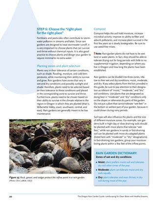 STEP 6: Choose the “right plant                            Compost
                              for the right place”                                       Compost helps the soil hold moisture, increase
                                                                                         microbial activity, improve its ability to filter and
                              Fertilizers and pesticides often contribute to storm-
                                                                                         adsorb pollutants, and increase plant survival in the
                              water pollution in streams and lakes. Since rain
                                                                                         first few years as it slowly biodegrades. Be sure to
                              gardens are designed to treat stormwater runoff, it
                                                                                         use weed-free mixes.
                              is very important to choose plants that can survive
                              and thrive without chemical inputs. It is also good
                              practice to choose plants and design your garden to        ! Note: Rain garden plants do not have to be wet-
                              require minimal to no extra water.                         land or water plants. In fact, they should be able to
                                                                                         tolerate drying out for long periods with little to no
                                                                                         supplemental irrigation, depending on where you
                              Planting zones and plant selection                         live in Oregon and how long the plants have been
                              Plants vary in their tolerance of certain conditions,      established.
                              such as shade, flooding, moisture, and cold tem-
                              peratures, while maintaining their ability to survive      Rain gardens can be divided into three zones, rela-
                              and grow. Rain gardens have zones that vary in             tive to their wet and dry conditions: moist, moderate,
                              wet and dry conditions and possibly sunlight and           and dry. If you select plants from the lists provided in
                              shade; therefore, plants need to be selected based         this guide, be sure to pay attention to their designa-
                              on their tolerance to these conditions and placed          tion as tolerant of “moist,” “moderate,” and “dry”
                              in the corresponding zone to survive and thrive.           soil conditions. Use plants that are designated as
                              Furthermore, plants need to be chosen based on             doing best in “moderate” and “dry” conditions only
                              their ability to survive in the climate relative to the    on the slopes or otherwise dry parts of the garden.
                              region in Oregon in which they are planted (that is,       Do not put a plant that cannot tolerate “wet feet” in
                              Willamette Valley, coast, southwest, central, and          the bottom or wettest part of your garden, because it
                              east). Rain gardens are generally meant to be low          could drown during rainy periods.
                              maintenance.
                                                                                         Soil type will also influence the plants and the size
                                                                                         of different moisture zones. For example, rain gar-
                                                                                         dens built in high-clay or slow-draining soils should
                                                                                         be planted with more plants that tolerate “wet
                                                                                         feet,” while rain gardens in sandy or fast-draining
                                                                                         soil can be planted with more dry-adapted plants
                                                                                         (listed here with “moderate” or “dry” designations).
                                                                                         In fast-draining rain gardens, group your moisture-
                                                                                         loving plants within a few feet of the inflow points.


                                                                                           RAIN GARDEN DICTIONARY:
                                                                                           Zones of wet and dry conditions
                                                                                           ■   Moist: plant prefers moist soil and tolerates
                                                                                               dry soil other times of the year.
                                                                                           ■   Moderate: plant can tolerate moist and dry
                                                                                               soils equally.
Figure 25: Rock, gravel, and sedges protect the inflow point in a rain garden.             ■   Dry: plant tolerates and even thrives in dry
(Photo: Chris LaBelle, OSU)                                                                    soil during most of the year.




20                                                                      The Oregon Rain Garden Guide: Landscaping for Clean Water and Healthy Streams
 