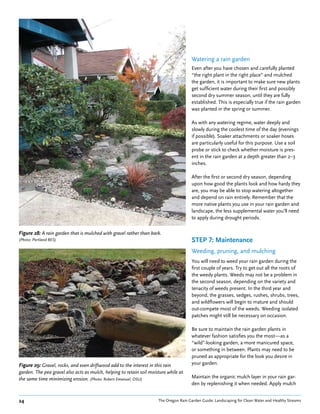 Watering a rain garden
                                                                                       Even after you have chosen and carefully planted
                                                                                       “the right plant in the right place” and mulched
                                                                                       the garden, it is important to make sure new plants
                                                                                       get sufficient water during their first and possibly
                                                                                       second dry summer season, until they are fully
                                                                                       established. This is especially true if the rain garden
                                                                                       was planted in the spring or summer.

                                                                                       As with any watering regime, water deeply and
                                                                                       slowly during the coolest time of the day (evenings
                                                                                       if possible). Soaker attachments or soaker hoses
                                                                                       are particularly useful for this purpose. Use a soil
                                                                                       probe or stick to check whether moisture is pres-
                                                                                       ent in the rain garden at a depth greater than 2–3
                                                                                       inches.

                                                                                       After the first or second dry season, depending
                                                                                       upon how good the plants look and how hardy they
                                                                                       are, you may be able to stop watering altogether
                                                                                       and depend on rain entirely. Remember that the
                                                                                       more native plants you use in your rain garden and
                                                                                       landscape, the less supplemental water you’ll need
                                                                                       to apply during drought periods.

Figure 28: A rain garden that is mulched with gravel rather than bark.
(Photo: Portland BES)                                                                  STEP 7: Maintenance
                                                                                       Weeding, pruning, and mulching
                                                                                       You will need to weed your rain garden during the
                                                                                       first couple of years. Try to get out all the roots of
                                                                                       the weedy plants. Weeds may not be a problem in
                                                                                       the second season, depending on the variety and
                                                                                       tenacity of weeds present. In the third year and
                                                                                       beyond, the grasses, sedges, rushes, shrubs, trees,
                                                                                       and wildflowers will begin to mature and should
                                                                                       out-compete most of the weeds. Weeding isolated
                                                                                       patches might still be necessary on occasion.

                                                                                       Be sure to maintain the rain garden plants in
                                                                                       whatever fashion satisfies you the most—as a
                                                                                       “wild”-looking garden, a more manicured space,
                                                                                       or something in between. Plants may need to be
                                                                                       pruned as appropriate for the look you desire in
Figure 29: Gravel, rocks, and even driftwood add to the interest in this rain          your garden.
garden. The pea gravel also acts as mulch, helping to retain soil moisture while at
the same time minimizing erosion. (Photo: Robert Emanuel, OSU)                         Maintain the organic mulch layer in your rain gar-
                                                                                       den by replenishing it when needed. Apply mulch


24                                                                    The Oregon Rain Garden Guide: Landscaping for Clean Water and Healthy Streams
 