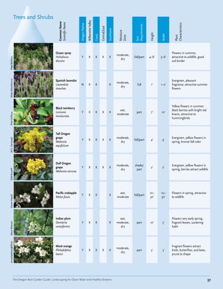Trees and Shrubs




                                                                                      Willamette Valley
                                                    Common Name
                                                    Scientific Name




                                                                                                                                                                                            Characteristics
                                                                      Oregon Native




                                                                                                                                                          Requirements
                                                                                                                  Central/East

                                                                                                                                 Southwest


                                                                                                                                              Moisture




                                                                                                                                                                         Height


                                                                                                                                                                                  Width
                                                                                                          Coast




                                                                                                                                              Zone




                                                                                                                                                                                            Plant
                                                                                                                                                          Sun
                                                  Ocean spray                                                                                                                             Flowers in summer,
                                                                                                                                             moderate,
                                                  Holodiscus            Y                X                 X        X             X                      full/part       4–8'     3–6'    attractive to wildlife, good
Pete Veilleux




                                                                                                                                               dry
                                                  discolor                                                                                                                                soil binder
Mate Adamkovics




                                                  Spanish lavendar                                                                                                                        Evergreen, pleasant
                                                                                                                                             moderate,
                                                  Lavandula            N                 X                 X                      X                         full          1'      1–2'    fragrance, attractive summer
                                                                                                                                               dry
                                                  stoechas                                                                                                                                flowers




                                                                                                                                                                                          Yellow flowers in summer,
                                                  Black twinberry
                                                                                                                                               wet,                                       black berries with bright red
                                                  Lonicera              Y                X                 X        X             X                        part           7'      10'
Pete Veilleux




                                                                                                                                             moderate                                     bracts, attractive to
                                                  involucrata
                                                                                                                                                                                          hummingbirds



                                                  Tall Oregon
                                                  grape                                                                                      moderate,                                    Evergreen, yellow flowers in
M.S. Yamasaki




                                                                        Y                X                 X        X             X                      full/part        4'       4'
                                                  Mahonia                                                                                      dry                                        spring, bronze fall color
                                                  aquifolium




                                                  Dull Oregon
                                                                                                                                             moderate,   shade/                           Evergreen, yellow flowers in
                                                  grape                 Y                X                 X        X             X                                       2'       2'
                                                                                                                                               dry        part                            spring, berries attract wildlife
Edd Russell




                                                  Mahonia nervosa




                                                  Pacific crabapple                                                                            wet,                      10–      10–     Flowers in spring, attractive
                                                                        Y                X                 X                      X                      full/part
Karen Haard




                                                  Malus fusca                                                                                moderate                    30'      30'     to wildlife




                                                  Indian plum                                                                                  wet,                                       Flowers very early spring,
                                                  Oemleria              Y                X                 X                      X          moderate,     part          10'       5'     fragrant leaves, suckering
Steve Matson




                                                  cerasiformis                                                                                 dry                                        habit
arrowlakelass@flickr




                                                  Mock orange                                                                                                                             Fragrant flowers attract
                                                                                                                                             moderate,
                                                  Philadelphus          Y                X                 X        X             X                        part           5'       3'     birds, butterflies, and bees,
                                                                                                                                               dry
                                                  lewisii                                                                                                                                 prune to shape




                 The Oregon Rain Garden Guide: Landscaping for Clean Water and Healthy Streams                                                                                                                            37
 