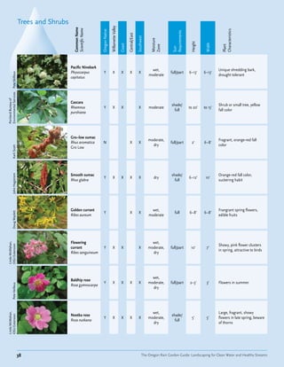 Trees and Shrubs




                                                                                  Willamette Valley
                                                Common Name
                                                Scientific Name




                                                                                                                                                                                          Characteristics
                                                                  Oregon Native




                                                                                                                                                      Requirements
                                                                                                              Central/East

                                                                                                                             Southwest


                                                                                                                                          Moisture




                                                                                                                                                                      Height


                                                                                                                                                                                Width
                                                                                                      Coast




                                                                                                                                          Zone




                                                                                                                                                                                          Plant
                                                                                                                                                      Sun
                                              Pacific Ninebark
                                                                                                                                           wet,                                         Unique shredding bark,
                                              Physocarpus           Y                X                 X        X             X                      full/part       6–13'     6–13'
           Pete Veilleux




                                                                                                                                         moderate                                       drought tolerant
                                              capitatus
Environmental Services
Portland Bureau of




                                              Cascara
                                                                                                                                                     shade/                             Shrub or small tree, yellow
                                              Rhamnus               Y                X                 X                      X          moderate                    to 20'    to 15'
                                                                                                                                                       full                             fall color
                                              purshiana




                                              Gro–low sumac
                                                                                                                                         moderate,                                      Fragrant, orange-red fall
                                              Rhus aromatica       N                                            X             X                      full/part         2'      6–8'
                                                                                                                                           dry                                          color
           Karli Scott




                                              Gro Low




                                              Smooth sumac                                                                                           shade/                             Orange-red fall color,
           John Hagstrom




                                                                    Y                X                 X        X             X             dry                      6–12'      10'
                                              Rhus glabra                                                                                              full                             suckering habit




                                              Golden currant                                                                               wet,                                         Frangrant spring flowers,
                                                                    Y                                           X             X                         full         6–8'      6–8'
           Doug Waylett




                                              Ribes aureum                                                                               moderate                                       edible fruits




                                              Flowering                                                                                    wet,
Linda McMahan,




                                                                                                                                                                                        Showy, pink flower clusters
OSU Extension




                                              currant               Y                X                 X                      X          moderate,   full/part        10'       7'
                                                                                                                                                                                        in spring, attractive to birds
                                              Ribes sanguineum                                                                             dry




                                                                                                                                           wet,
                                              Baldhip rose
                                                                    Y                X                 X        X             X          moderate,   full/part       2–3'        3'     Flowers in summer
           Pete Veilleux




                                              Rosa gymnocarpa
                                                                                                                                           dry




                                                                                                                                           wet,                                         Large, fragrant, showy
Linda McMahan,




                                              Nootka rose                                                                                            shade/
OSU Extension




                                                                    Y                X                 X        X             X          moderate,                     5'        5'     flowers in late spring, beware
                                              Rosa nutkana                                                                                             full
                                                                                                                                           dry                                          of thorns




                           38                                                                                                      The Oregon Rain Garden Guide: Landscaping for Clean Water and Healthy Streams
 