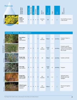 Perennials




                                                                                              Willamette Valley
                                                            Common Name
                                                            Scientific Name




                                                                                                                                                                                                        Characteristics
                                                                              Oregon Native




                                                                                                                                                                  Requirements
                                                                                                                          Central/East

                                                                                                                                         Southwest


                                                                                                                                                      Moisture




                                                                                                                                                                                 Height



                                                                                                                                                                                             Width
                                                                                                                  Coast




                                                                                                                                                      Zone




                                                                                                                                                                                                        Plant
                                                                                                                                                                  Sun
                                                          Canada
           Patrick Standish




                                                          Goldenrod                                                                                  moderate,                                        Pyramidal flower clusters
                                                                                Y                X                 X        X             X                         full          3'         2'
                                                          Solidago                                                                                     dry                                            in late summer
                                                          canadensis




                               RUSHES, SEDGES, AND GR A SSES

                                                          Santa Barbara
                                                                                                                                                       wet,                                           Evergreen, flowers in
                                                          sedge                 Y                                                         X                      full/part       1–3'     spreading
           Pete Veilleux




                                                                                                                                                     moderate                                         summer
                                                          Carex barbarae
Dr. Dean Wm. Taylor,




                                                                                                                                                                                                      Evergreen, good for
Jepson Herbarium




                                                          Dense sedge                                                                                  wet,      shade/                               erosion control, trapping
                                                                                Y                X                 X                      X                                       2'      spreading
                                                          Carex densa                                                                                moderate      full                               sediment and slowing the
                                                                                                                                                                                                      flow of water




                                                          Slough sedge
                                                                                Y                X                 X        X             X            wet       full/part       2–5'     spreading   Excellent soil binder
           Pete Veilleux




                                                          Carex obnupta




                                                          Curly sedge                                                                                            shade/
                                                                               N                 X                 X                      X            wet                       14"      spreading   Evergreen
           Martin Vavrík




                                                          Carex rupestris                                                                                          full




                                                          Orange New                                                                                                                                  Light green leaves
                                                                                                                                                       wet,
                                                          Zealand sedge        N                 X                 X                      X                         full         2–5'        1'       develop red/orange
           Claudia Vieira




                                                                                                                                                     moderate
                                                          Carex testacea                                                                                                                              highlights




                                                          Tufted hair grass
                                                                                                                                                       wet,                                           Attractive throughout
                                                          Deschampsia           Y                X                 X        X             X                      full/part        2'         3'
                                                                                                                                                     moderate                                         winter
           Pete Veilleux




                                                          caespitosa




                         The Oregon Rain Garden Guide: Landscaping for Clean Water and Healthy Streams                                                                                                                            41
 