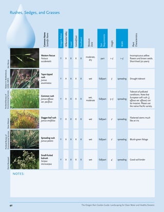 Rushes, Sedges, and Grasses




                                                                                        Willamette Valley
                                                      Common Name
                                                      Scientific Name




                                                                                                                                                                                                  Characteristics
                                                                        Oregon Native




                                                                                                                                                            Requirements
                                                                                                                    Central/East

                                                                                                                                   Southwest


                                                                                                                                                Moisture




                                                                                                                                                                           Height



                                                                                                                                                                                       Width
                                                                                                            Coast




                                                                                                                                                Zone




                                                                                                                                                                                                  Plant
                                                                                                                                                            Sun
                                                    Western fescue                                                                                                                              Inconspicuous yellow
                                                                                                                                               moderate,
                                                    Festuca               Y                X                 X        X             X                        part          1–3'       1–3'      flowers and brown seeds.
                                                                                                                                                 dry
                       Keir Morse




                                                    occidentalis                                                                                                                                Short-lived (20 years)
Robert H. Mohlenbrock,




                                                    Taper-tipped
                                                    rush
                                                                          Y                X                 X        X             X            wet       full/part        3'      spreading   Drought tolerant
USDA–NRCS




                                                    Juncus
                                                    acuminatus


                                                                                                                                                                                                Tolerant of polluted
Environmental Services




                                                                                                                                                                                                conditions. Note that
Portland Bureau of




                                                    Common rush
                                                                                                                                                 wet,                                           European soft rush ( J.
                                                    Juncus effusus        Y                X                 X        X             X                      full/part       3–5'     spreading
                                                                                                                                               moderate                                         effusus var. effusus) can
                                                    var. pacificus
                                                                                                                                                                                                be invasive. Please use
                                                                                                                                                                                                the native Pacific variety.



                                                    Dagger-leaf rush                                                                                                                            Flattened stems much
                                                                          Y                X                 X        X             X            wet       full/part        2'      spreading
                 Steve Matson




                                                    Juncus ensifolius                                                                                                                           like an iris
 Environmental Services
 Portland Bureau of




                                                    Spreading rush
                                                                          Y                X                 X        X             X            wet       full/part        2'      spreading   Bluish-green foliage
                                                    Juncus patens




                                                    Small-fruited
                                                    bulrush
                 Denis Bousquet




                                                                          Y                X                 X        X             X            wet       full/part        4'      spreading   Good soil binder
                                                    Scirpus
                                                    microcarpus



                                         NOTES:




                                    42                                                                                                  The Oregon Rain Garden Guide: Landscaping for Clean Water and Healthy Streams
 