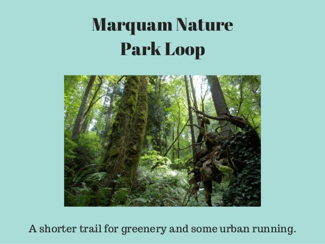 Marquam Nature Park Running Marquam Nature Park Running