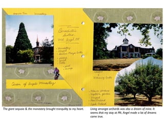 The giant sequoia & the monastery brought tranquility to my heart. Living amongst orchards was also a dream of mine. It
seems that my stay at Mt. Angel made a lot of dreams
come true.
 