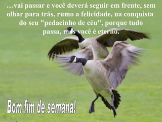 … vai passar e você deverá seguir em frente, sem olhar para trás, rumo a felicidade, na conquista  do seu "pedacinho de céu", porque tudo passa, mas você é eterno.   Bom fim de semana! 