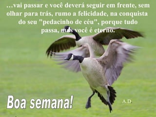 … vai passar e você deverá seguir em frente, sem olhar para trás, rumo a felicidade, na conquista  do seu "pedacinho de céu", porque tudo passa, mas você é eterno.   Boa semana! A. A.D . 
