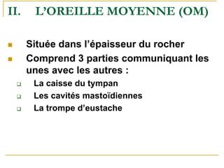 II. L’OREILLE MOYENNE (OM)
Située dans l’épaisseur du rocher
Comprend 3 parties communiquant les
unes avec les autres :
La caisse du tympan
Les cavités mastoïdiennes
La trompe d’eustache
 