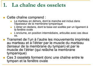 1. La chaîne des osselets
Cette chaîne comprend :
Le marteau en dehors, dont le manche est inclus dans
l’épaisseur de la membrane tympanique
L’étrier en dedans, dont la base est scellée par un ligament à
la fenêtre ovale
L’enclume, en position intermédiaire, articulée avec ces deux
os.
Transmet de l’un à l’autre les mouvements imprimés
au marteau et à l’étrier par le muscle du marteau
(tenseur de la membrane du tympan) et par le
muscle de l’étrier (qui relâche la membrane
tympanique)
Ces 3 osselets forment donc une chaîne entre le
tympan et la fenêtre ovale
 