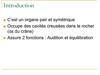 Introduction
C’est un organe pair et symétrique
Occupe des cavités creusées dans le rocher
(os du crâne)
Assure 2 fonctions : Audition et équilibration
 