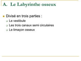 A. Le Labyrinthe osseux
Divisé en trois parties :
Le vestibule
Les trois canaux semi circulaires
Le limaçon osseux
 