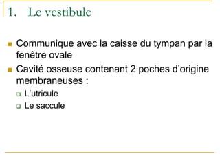 1. Le vestibule
Communique avec la caisse du tympan par la
fenêtre ovale
Cavité osseuse contenant 2 poches d’origine
membraneuses :
L’utricule
Le saccule
 