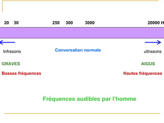 0 20 30 250 300 3000 20000 Hz
Infrasons ultrasonsConversation normale
GRAVES AIGUS
Basses fréquences Hautes fréquences
Fréquences audibles par l’homme
 