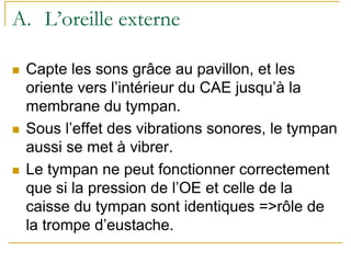 A. L’oreille externe
Capte les sons grâce au pavillon, et les
oriente vers l’intérieur du CAE jusqu’à la
membrane du tympan.
Sous l’effet des vibrations sonores, le tympan
aussi se met à vibrer.
Le tympan ne peut fonctionner correctement
que si la pression de l’OE et celle de la
caisse du tympan sont identiques =>rôle de
la trompe d’eustache.
 