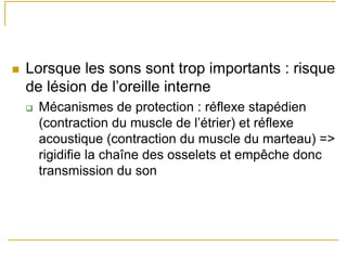 Lorsque les sons sont trop importants : risque
de lésion de l’oreille interne
Mécanismes de protection : réflexe stapédien
(contraction du muscle de l’étrier) et réflexe
acoustique (contraction du muscle du marteau) =>
rigidifie la chaîne des osselets et empêche donc
transmission du son
 
