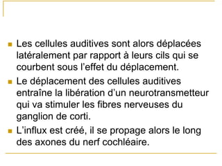 Les cellules auditives sont alors déplacées
latéralement par rapport à leurs cils qui se
courbent sous l’effet du déplacement.
Le déplacement des cellules auditives
entraîne la libération d’un neurotransmetteur
qui va stimuler les fibres nerveuses du
ganglion de corti.
L’influx est créé, il se propage alors le long
des axones du nerf cochléaire.
 