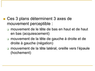 Ces 3 plans déterminent 3 axes de
mouvement perceptible :
mouvement de le tête de bas en haut et de haut
en bas (acquiescement)
mouvement de la tête de gauche à droite et de
droite à gauche (négation)
mouvement de la tête latéral, oreille vers l’épaule
(hochement)
 
