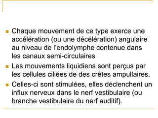 Chaque mouvement de ce type exerce une
accélération (ou une décélération) angulaire
au niveau de l’endolymphe contenue dans
les canaux semi-circulaires
Les mouvements liquidiens sont perçus par
les cellules ciliées de des crêtes ampullaires.
Celles-ci sont stimulées, elles déclenchent un
influx nerveux dans le nerf vestibulaire (ou
branche vestibulaire du nerf auditif).
 