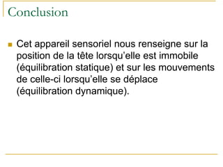 Conclusion
Cet appareil sensoriel nous renseigne sur la
position de la tête lorsqu’elle est immobile
(équilibration statique) et sur les mouvements
de celle-ci lorsqu’elle se déplace
(équilibration dynamique).
 