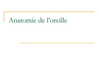 Anatomie de l’oreille
 