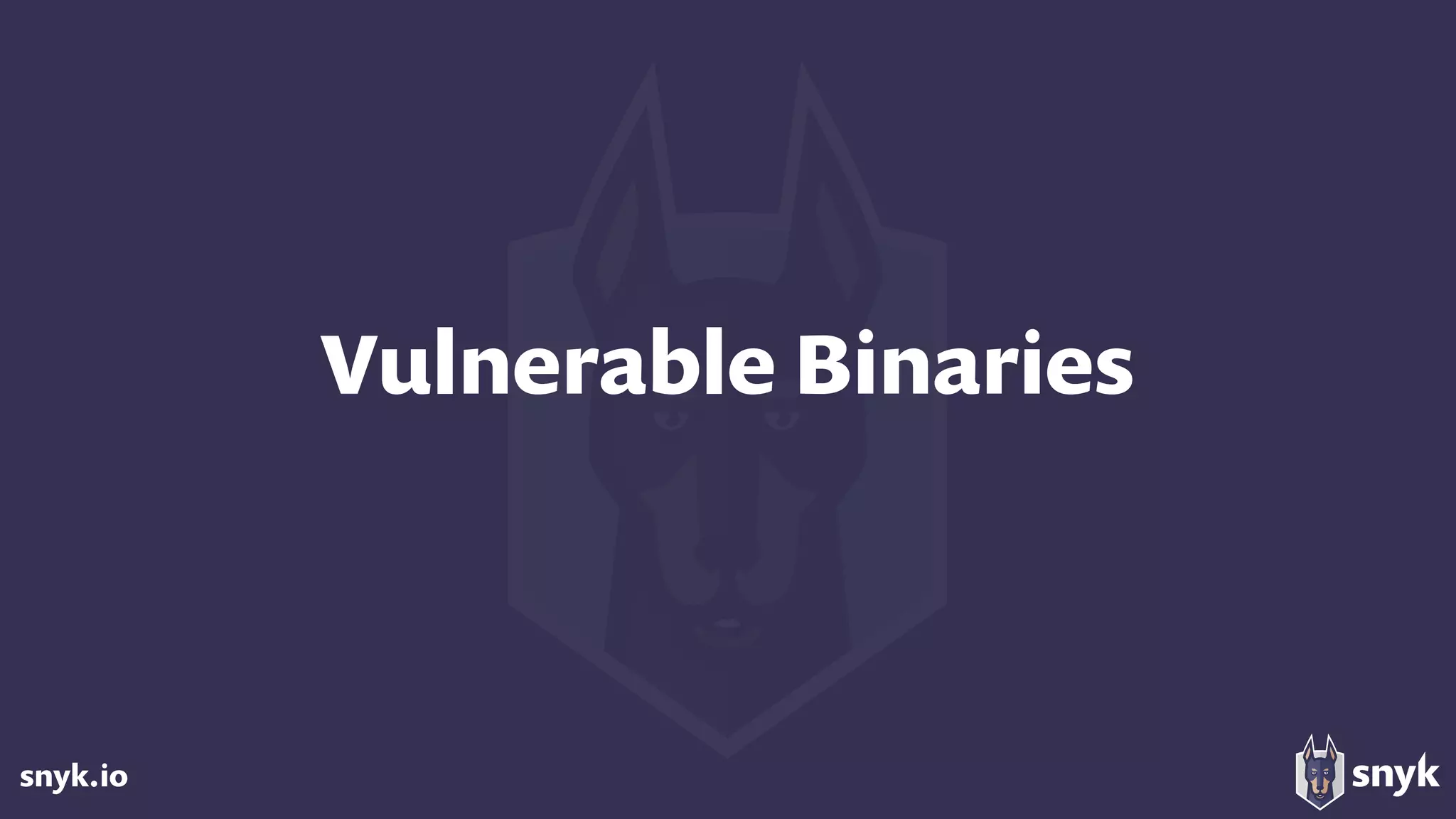 snyk.io
Vulnerable Binaries
 