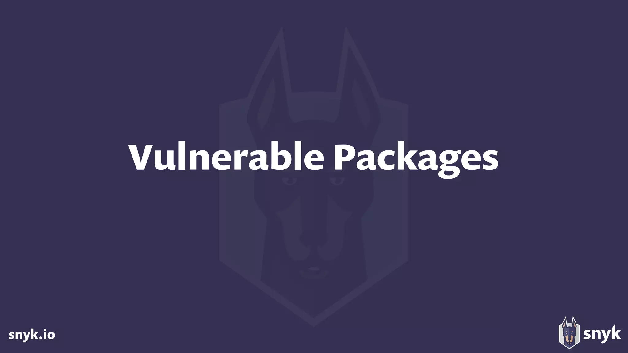 snyk.io
Vulnerable Packages
 